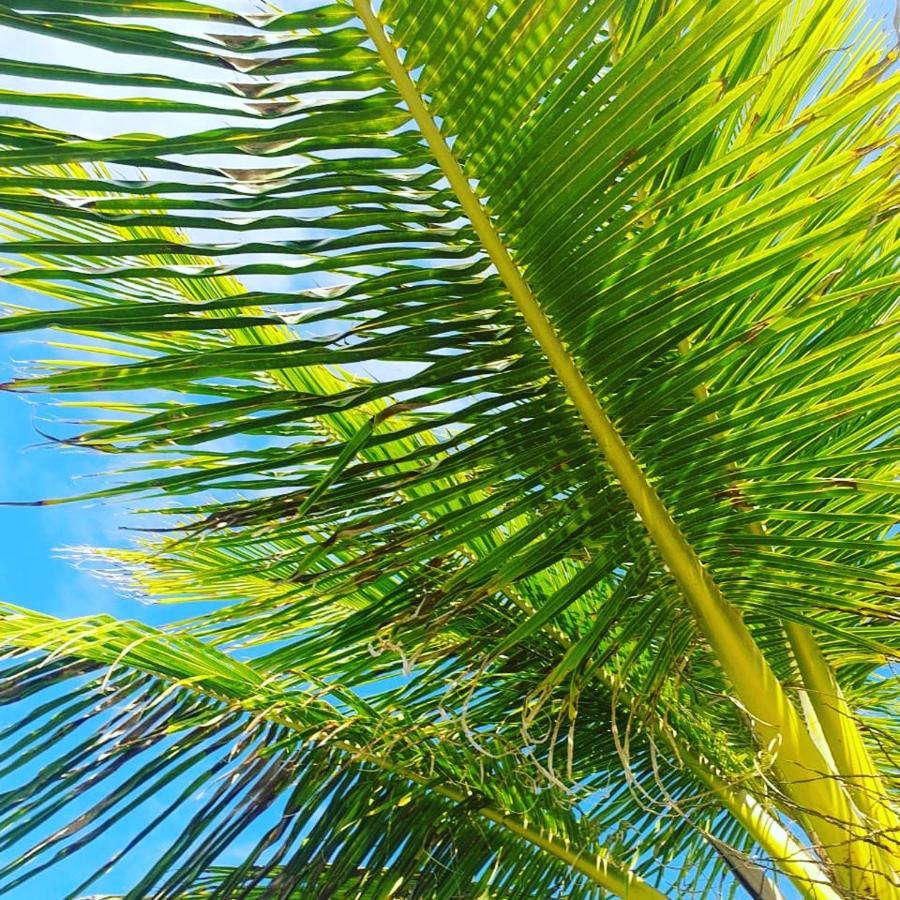 Praia De Itacimirim, Pe Na Areia Zewnętrze zdjęcie