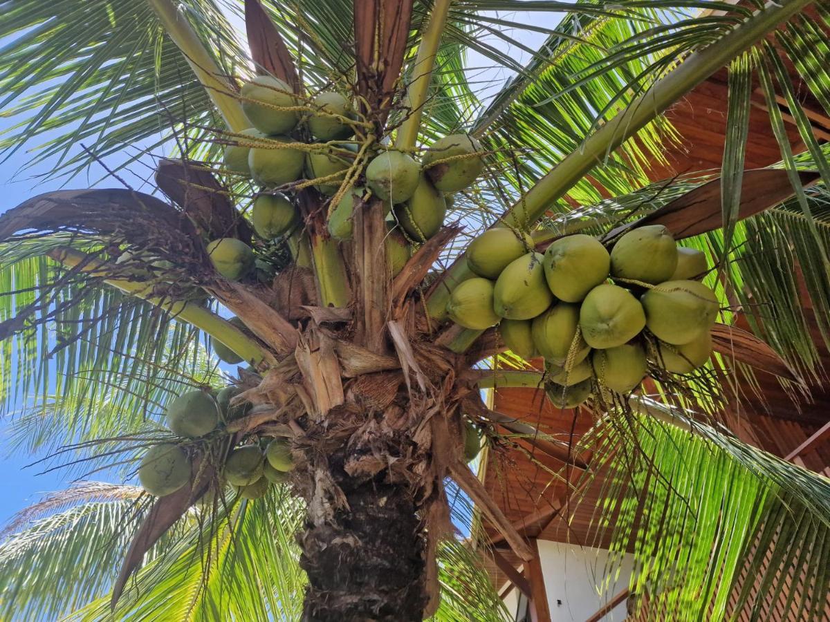 Praia De Itacimirim, Pe Na Areia Zewnętrze zdjęcie